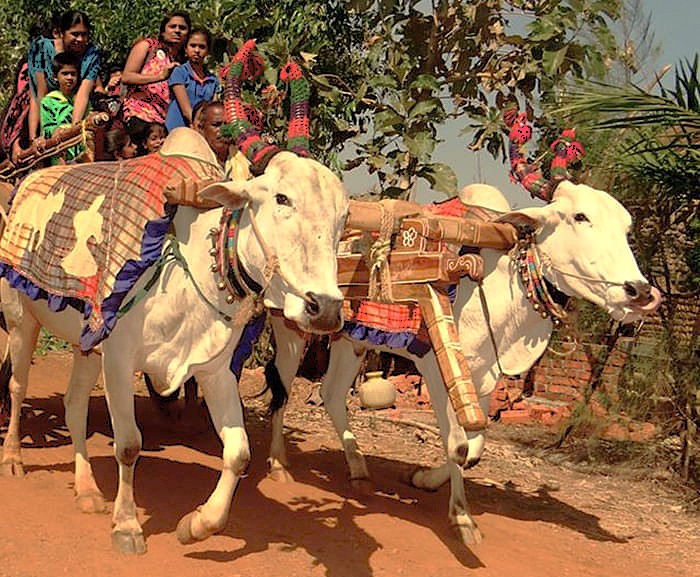 SEO-create a 30 word sentance-SEO high ranking key word Alt Text association - relationship - key words for the subject or nearby Key words-place-combine and create one sentance -include :-  India, Karnataka, Hubli, on the way to Old Goa Unseco churches. Agadi Thota Village