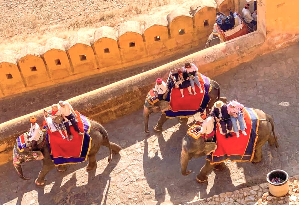 Experience a majestic elephant ride at Amber Fort in Jaipur, Rajasthan, India, a UNESCO World Heritage site offering cultural tours, historic fort architecture, scenic hilltop views, and unforgettable heritage adventures. Experience a majestic elephant ride at Amber Fort in Jaipur, Rajasthan, India, a UNESCO World Heritage site offering cultural tours, historic fort architecture, scenic hilltop views, and unforgettable heritage adventures.
