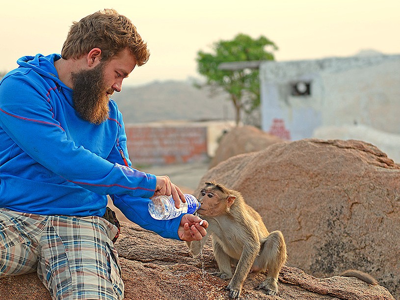 A heartwarming moment as a traveler offers water to a monkey in Karnataka, India, a common wildlife encounter while exploring the vast Hampi UNESCO site, which includes the lush Anegundi Rice Fields, the historic Queen's Baths, the magnificent Vittala Temple, and the grand Elephant Stables. A heartwarming moment as a traveler offers water to a monkey in Karnataka, India, a common wildlife encounter while exploring the vast Hampi UNESCO site, which includes the lush Anegundi Rice Fields, the historic Queen's Baths, the magnificent Vittala Temple, and the grand Elephant Stables.