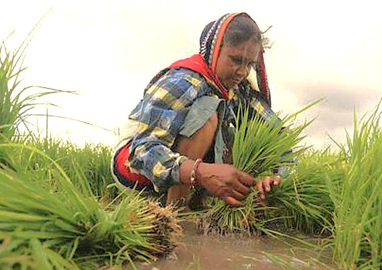 SEO-create a 45 word sentance-SEO high ranking key word Alt Text association - relationship - key words for the subject or nearby Key words-place-combine and create one sentance -include :-  India, Hampi-Unesco site, Queens Baths, Vittala Temple, Elephant stables, Karnataka, Anegundi Rice Fields SEO-create a 45 word sentance-SEO high ranking key word Alt Text association - relationship - key words for the subject or nearby Key words-place-combine and create one sentance -include :-  India, Hampi-Unesco site, Queens Baths, Vittala Temple, Elephant stables, Karnataka, Anegundi Rice Fields