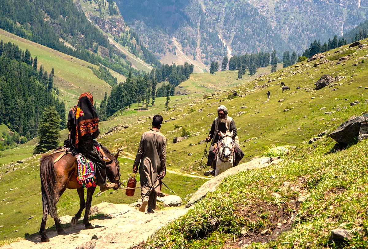 "Enjoy gentle pony treks in the Himalayas near Dachigam National Park, joining Kashmir’s essential tours: Srinagar’s Dal Lake, saffron fields, cable car rides, and the scenic railway through the lower Himalayas." "Enjoy gentle pony treks in the Himalayas near Dachigam National Park, joining Kashmir’s essential tours: Srinagar’s Dal Lake, saffron fields, cable car rides, and the scenic railway through the lower Himalayas."