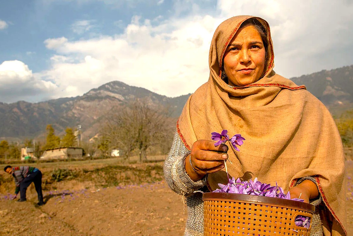 SEO-create a 30 word sentance-SEO high ranking key word Alt Text association - relationship - key words for the subject or nearby Key words-place-combine and create one sentance -include :- Kashmir, Srinagar, Beetab and Aru Valleys, Gulmarg Gondola, Dal Laje shikara boat. Awantipara temple SEO-create a 30 word sentance-SEO high ranking key word Alt Text association - relationship - key words for the subject or nearby Key words-place-combine and create one sentance -include :- Kashmir, Srinagar, Beetab and Aru Valleys, Gulmarg Gondola, Dal Laje shikara boat. Awantipara temple