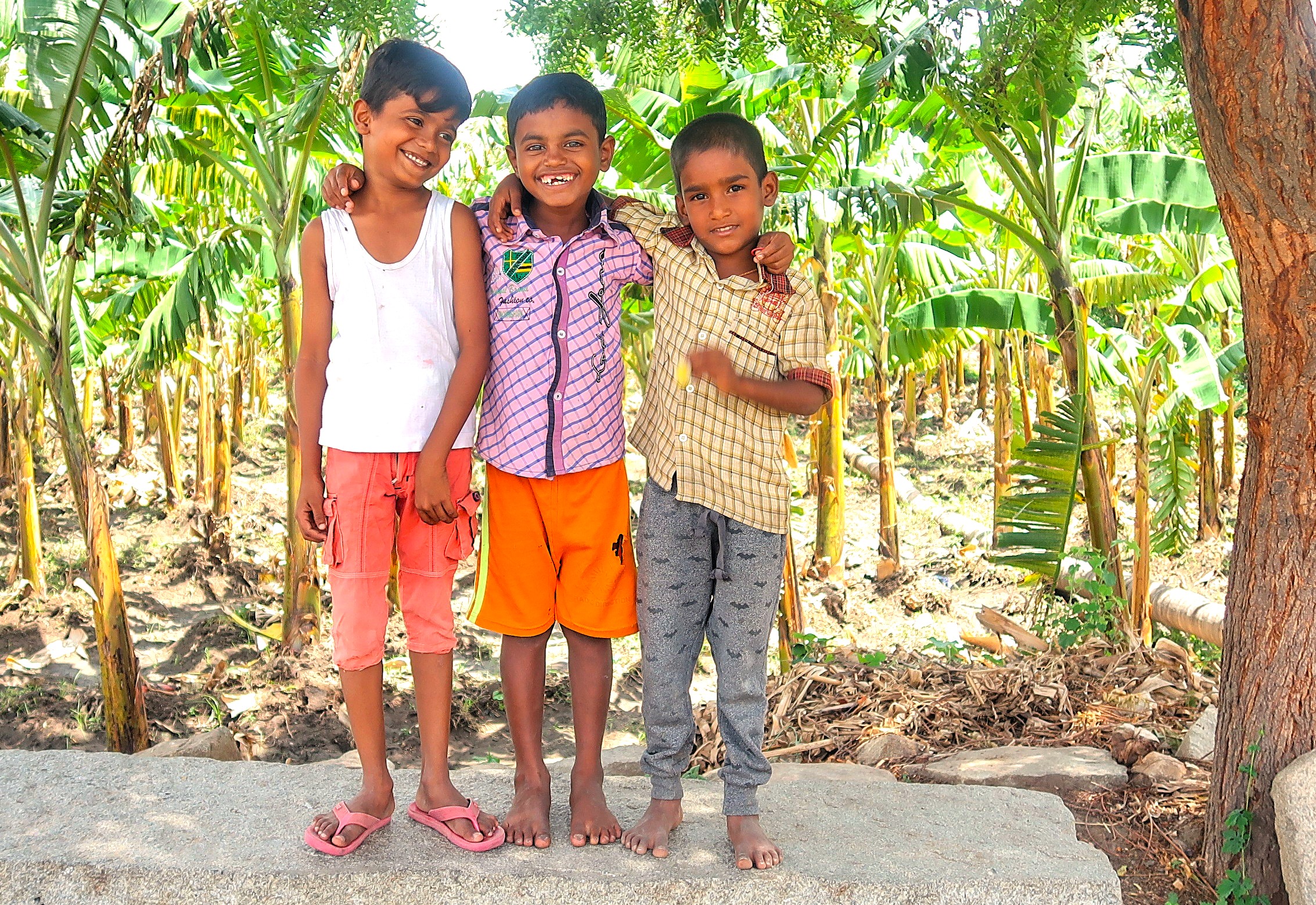 The joyful smiles of local children in a banana plantation capture the spirit of life near the Anegundi Banana Fibre Workshop in Karnataka, India. This local craft initiative is a cultural highlight for visitors exploring the Hampi UNESCO site, renowned for the Queen's Baths, Vittala Temple, and Elephant Stables. The joyful smiles of local children in a banana plantation capture the spirit of life near the Anegundi Banana Fibre Workshop in Karnataka, India. This local craft initiative is a cultural highlight for visitors exploring the Hampi UNESCO site, renowned for the Queen's Baths, Vittala Temple, and Elephant Stables.