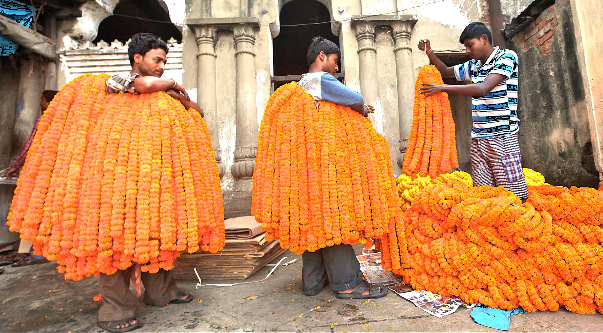 SEO-create a 30 word sentance-SEO high ranking key word Alt Text association - relationship - key words for the subject or nearby Key words-place-combine and create one sentance -include :- SEO-create a 30 word sentance-SEO high ranking key word Alt Text association - relationship - key words for the subject or nearby Key words-place-combine and create one sentance -include :-