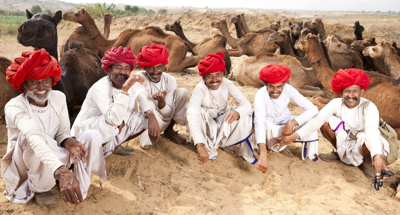  A group of six Rajasthani men in traditional attire sitting among camels in the Bikaner Thar Desert, Rajasthan, India, showcasing local culture and desert life during the annual camel fair.