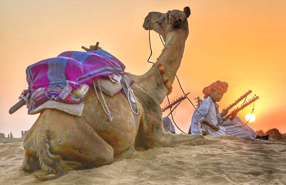 Experience the ultimate Bikaner Camel Safari in India’s majestic Thar Desert of Rajasthan, uncovering vibrant Rajasthani culture, authentic traditional music, and breathtaking sunset landscapes that define an unforgettable desert adventure.