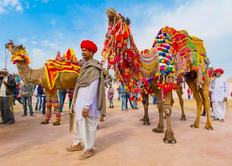 Festive camel trader in colorful Rajasthani attire leads elaborately decorated camels through Bikaner market amid the golden sands of the Thar Desert, showcasing India’s vibrant cultural heritage in iconic Rajasthan.