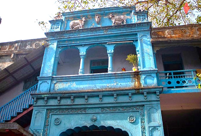 Historic blue facade at Bombay Panjrapole Cow Shelter in India-Mumbai-mahapradesh features iconic ornate balconies, carved animal statues, weathered colonial-era architecture, vibrant foliage backdrop, urban heritage conservation and cultural tourism appeal. Historic blue facade at Bombay Panjrapole Cow Shelter in India-Mumbai-mahapradesh features iconic ornate balconies, carved animal statues, weathered colonial-era architecture, vibrant foliage backdrop, urban heritage conservation and cultural tourism appeal.