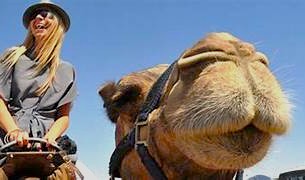 “Smiling tourist woman riding a camel in Rajasthan, India, near Pushka-Brahma Temple between Jaipur and Agra on the way to the Taj Mahal, capturing vibrant desert adventure and cultural heritage.”