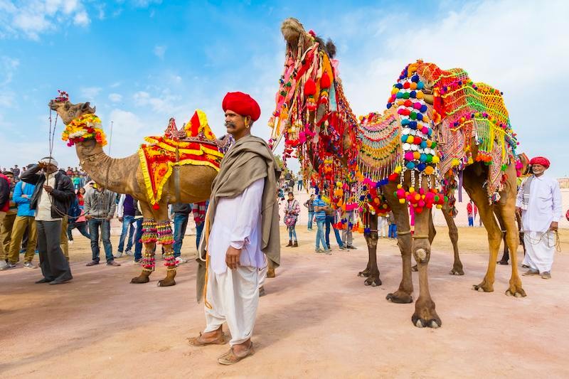 Vibrant Rajasthan camel festival featuring elaborately decorated camels and traditionally dressed local traders showcasing colorful cultural heritage and desert traditions in India’s historic Bikaner region. Vibrant Rajasthan camel festival featuring elaborately decorated camels and traditionally dressed local traders showcasing colorful cultural heritage and desert traditions in India’s historic Bikaner region.