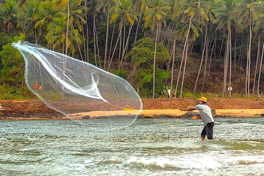 A fisherman casts a net on the beaches of Goa, India, a coastal activity near the historic Old Goa Unesco churches, including the Church of Saint Augustine. A fisherman casts a net on the beaches of Goa, India, a coastal activity near the historic Old Goa Unesco churches, including the Church of Saint Augustine.