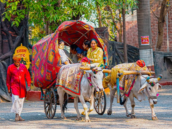Vibrantly decorated bullock cart carrying traditionally dressed women in Jaipur, Rajasthan, India, passes beneath historic Sheesh Mahal’s UNESCO heritage facades, blending cultural celebration, pastoral charm, and royal architectural grandeur backdrop.