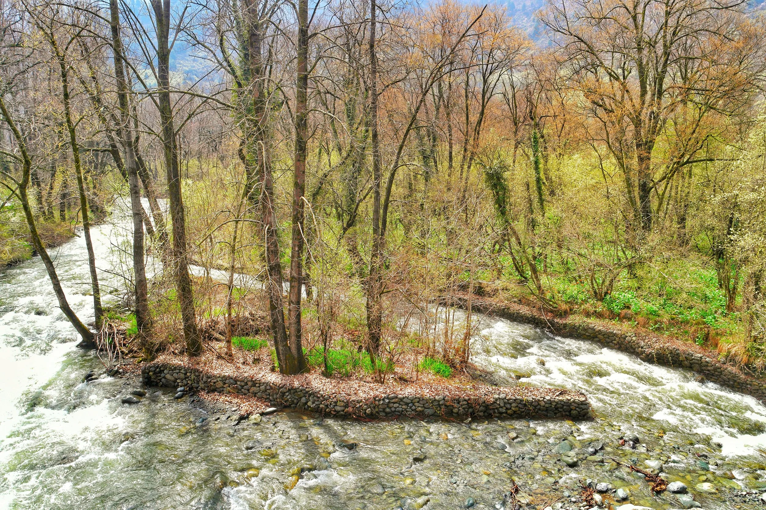 The stream at Dachigam National Park, near Kashmir-Srinagar, a UNESCO City of Arts, highlights the Himalayas on a Jeep Safari, viewed near Shankaracharya Hill or Sinthan Top. The stream at Dachigam National Park, near Kashmir-Srinagar, a UNESCO City of Arts, highlights the Himalayas on a Jeep Safari, viewed near Shankaracharya Hill or Sinthan Top.