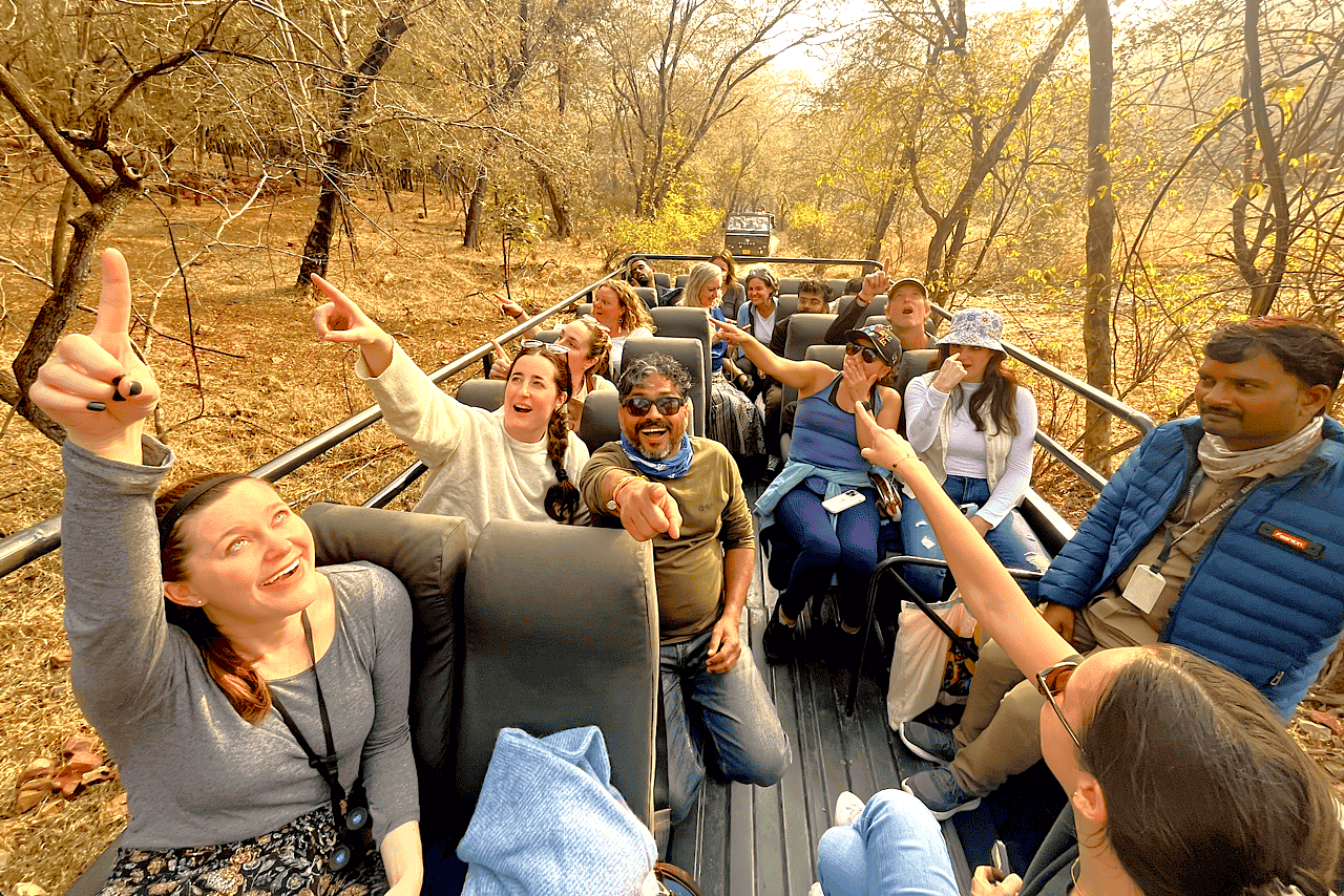 Tourists on a Dachigam National Park +Jeep Safari near Kashmir-Srinagar (a Unesco city of arts) spot wildlife in the Himalayas, near Shankaracharya Hill or Sinthan Top. Tourists on a Dachigam National Park +Jeep Safari near Kashmir-Srinagar (a Unesco city of arts) spot wildlife in the Himalayas, near Shankaracharya Hill or Sinthan Top.