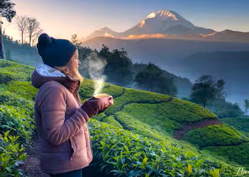Darjeeling