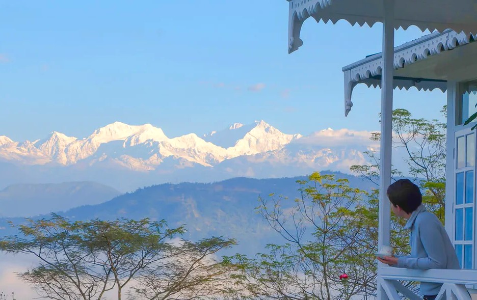 Darjeeling tea gardens