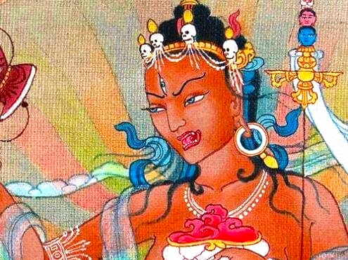 Darkinis India Darkinis India
