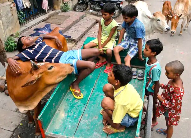 Group of children play around a rustic cow-drawn cart as a woman reclines, vibrant street life blending tradition and modernity in India-new Delhi, capturing charming rural-urban contrast through lively, interaction.
