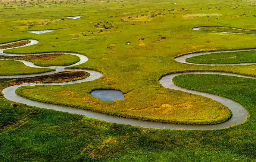 Delta Plains Delta Plains