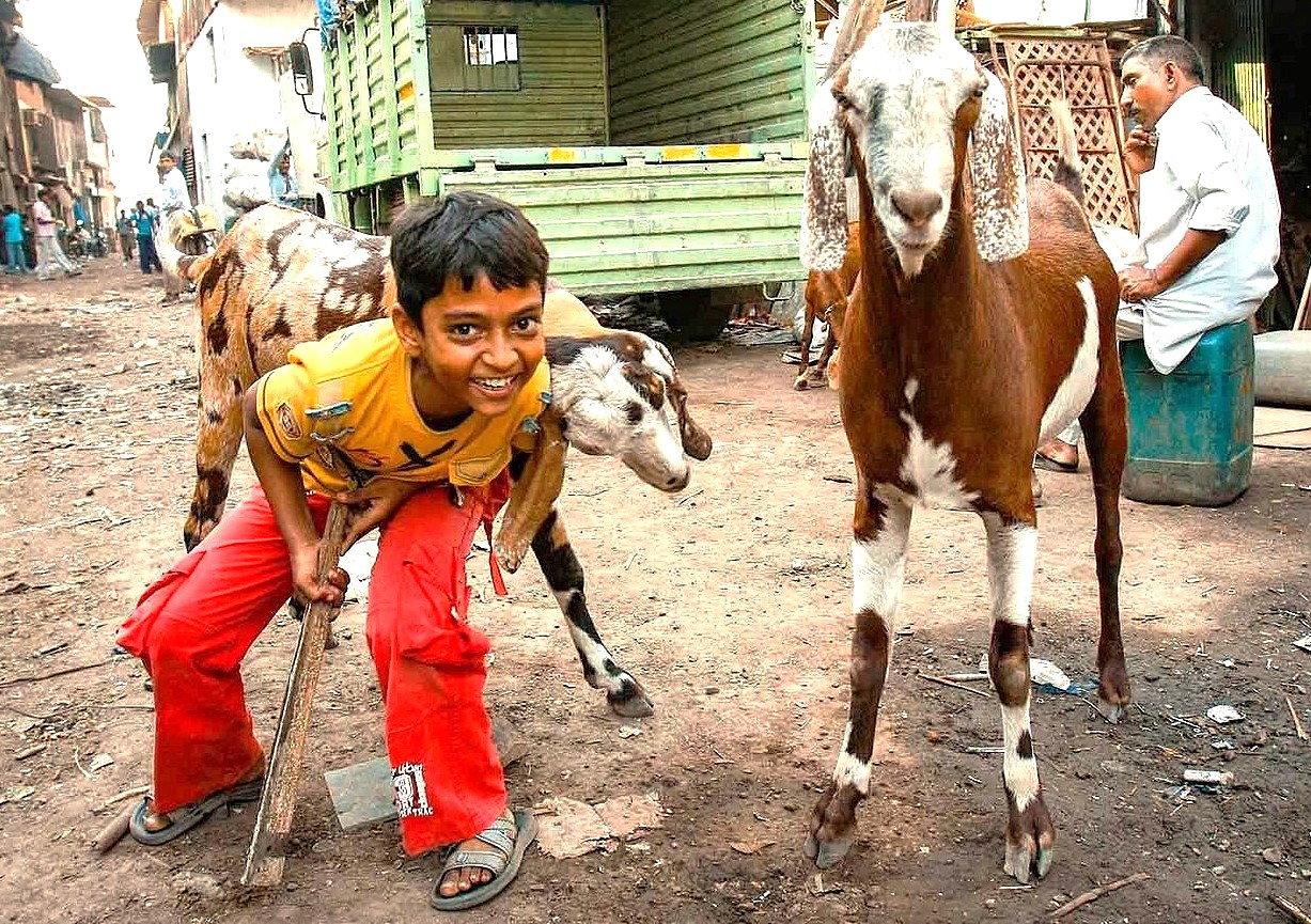 Visit Mumbai, Maharashtra, India, to see the Gateway to India, Colaba Causeway, Dhobi Ghat Laundry, and the nearby UNESCO Elephanta Caves. Visit Mumbai, Maharashtra, India, to see the Gateway to India, Colaba Causeway, Dhobi Ghat Laundry, and the nearby UNESCO Elephanta Caves.