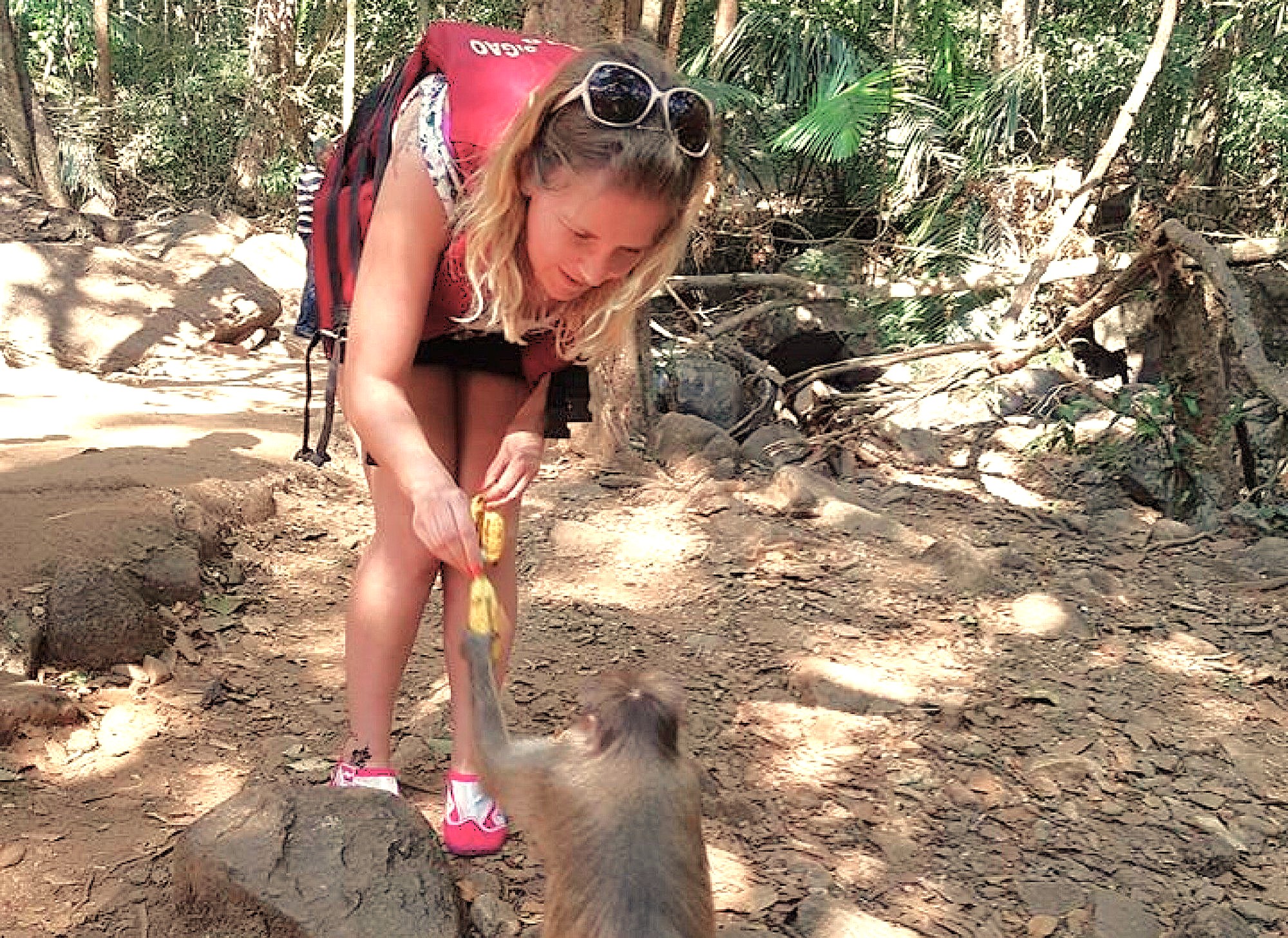 A tourist feeds a friendly monkey during a Dudhsagar Falls Jeep Safari in India. This memorable wildlife encounter is a popular highlight for travellers on a road trip from the UNESCO Hampi site in Karnataka to the beaches of Goa. A tourist feeds a friendly monkey during a Dudhsagar Falls Jeep Safari in India. This memorable wildlife encounter is a popular highlight for travellers on a road trip from the UNESCO Hampi site in Karnataka to the beaches of Goa.