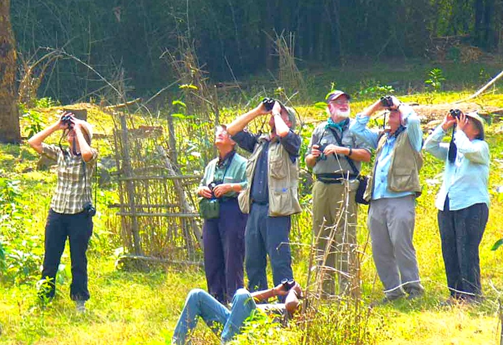 "Six nature enthusiasts using binoculars for birdwatching near an elephant camp in Mudumalai National Park, Karnataka, India, immersed in scenic wildlife and dense forest habitats."