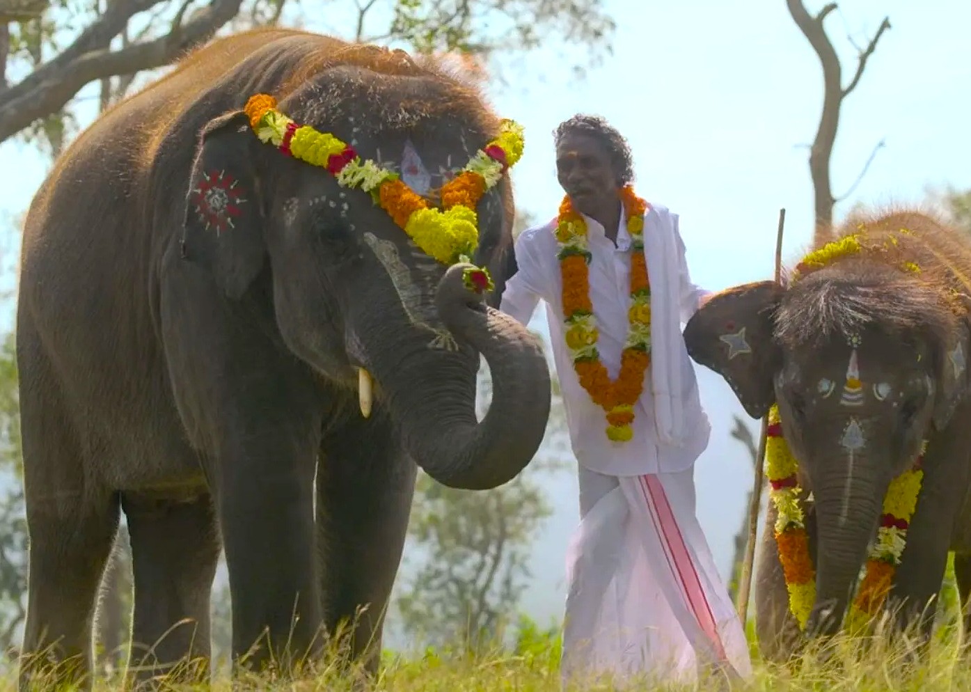 Elephant camp Elephant camp