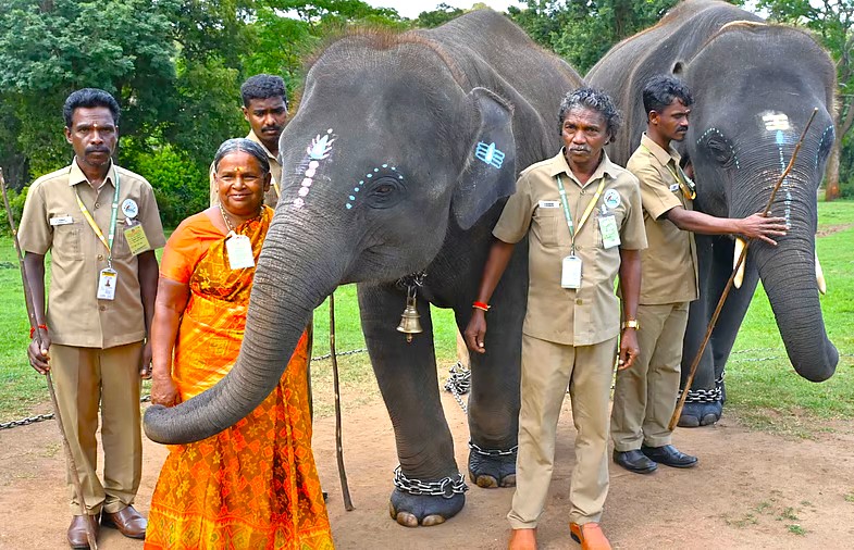 Elephant camp trainers and community members standing beside two decorated elephants at Mudumalai National Park in Karnataka, India, showcasing cultural conservation and wildlife stewardship efforts.