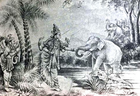 A Gajapati king's day was a dynamic blend of martial duty and pious devotion. As the designated deputy ("Raut") of Lord Jagannath, his mornings were consumed by rituals and temple affairs. This was followed by intense military councils, planning the Gajapati dynasty's campaigns against the Vijayanagara empire and other rivals. Afternoons might involve overseeing the administration of conquered territories or reviewing the training of war elephants. Evenings were for cultural pursuits, listening to the burgeoning Odia poetry and music, a brief respite from the constant pressure of defending and expanding a militaristic Hindu kingdom in eastern India. Gajapati Dynasty Odisha India A Gajapati king's day was a dynamic blend of martial duty and pious devotion. As the designated deputy ("Raut") of Lord Jagannath, his mornings were consumed by rituals and temple affairs. This was followed by intense military councils, planning the Gajapati dynasty's campaigns against the Vijayanagara empire and other rivals. Afternoons might involve overseeing the administration of conquered territories or reviewing the training of war elephants. Evenings were for cultural pursuits, listening to the burgeoning Odia poetry and music, a brief respite from the constant pressure of defending and expanding a militaristic Hindu kingdom in eastern India. Gajapati Dynasty Odisha India