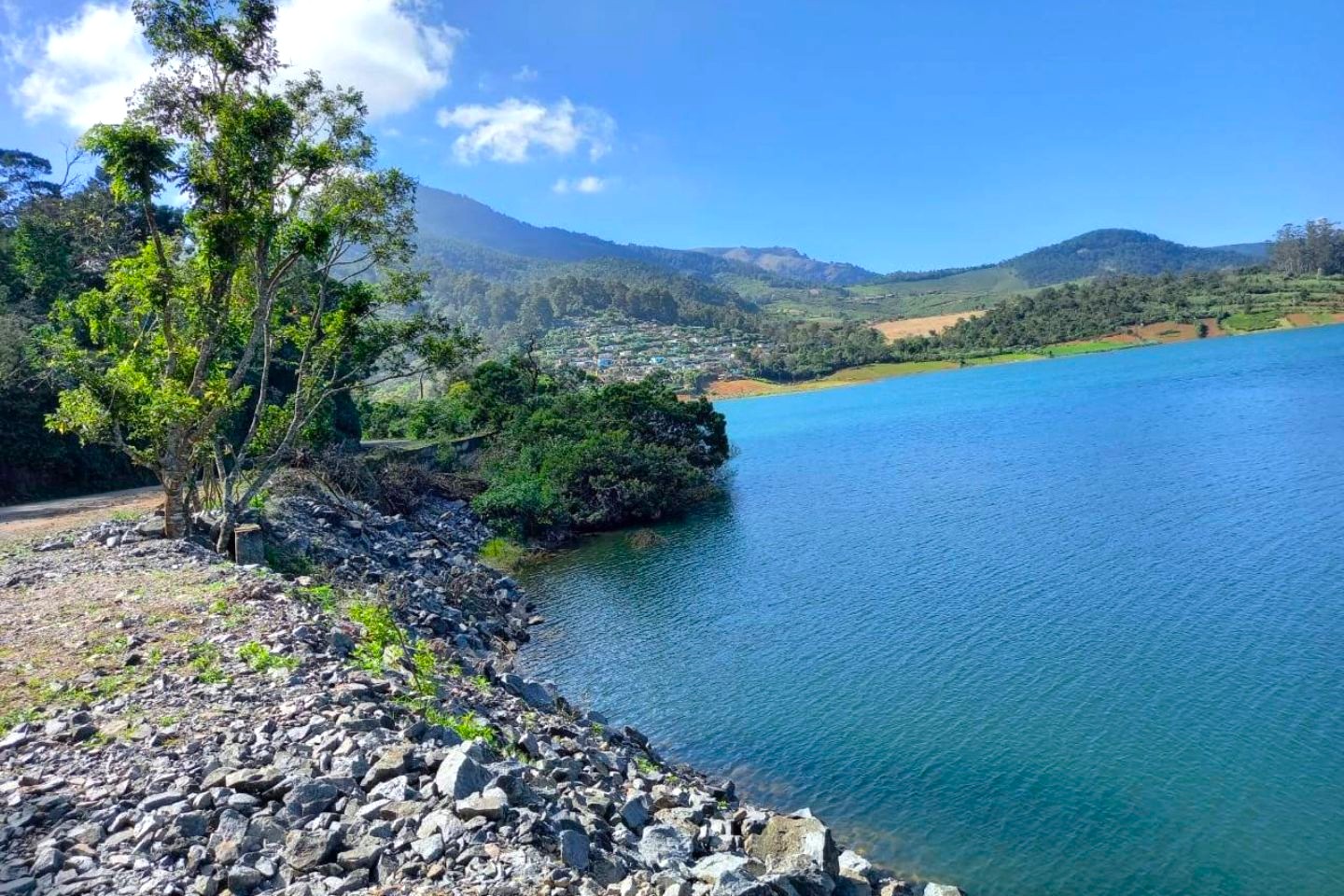 Ooty lake