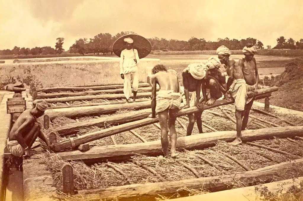 Farming India Farming India
