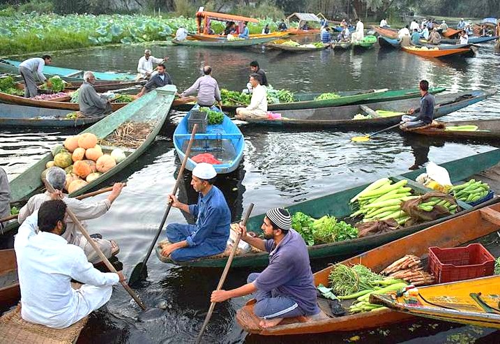 Bustling scene at the daily Floating Market on Dal Lake in Srinagar, Jammu and Kashmir, India, where local vendors trade fresh vegetables from traditional shikaras.