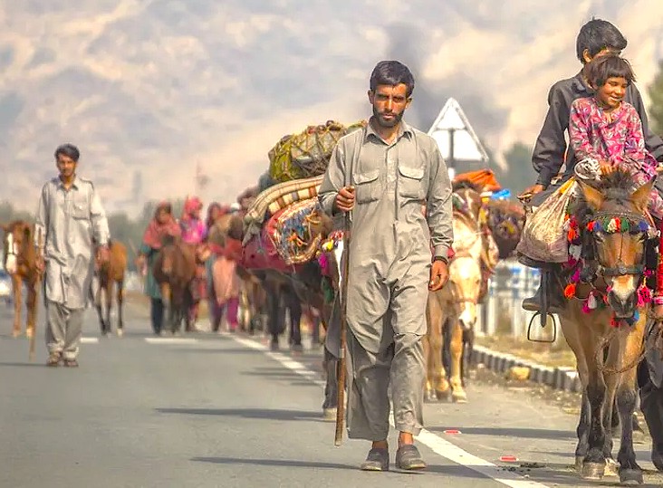 Local nomadic herders and their families migrating with pack animals, a traditional cultural scene near Hari Parbat Fort in Srinagar, Jammu and Kashmir, India.