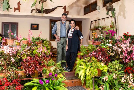 Home stays and B&Bs India 