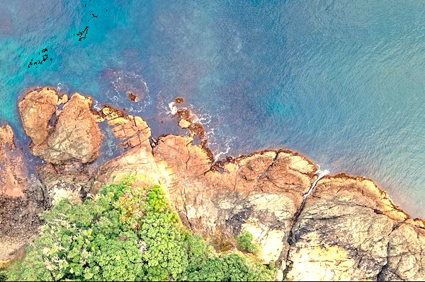 Enjoy breathtaking views from hot air ballooning over Goa, India, soaring above pristine beaches, the vibrant Goa Flea Market, and the charming Portuguese quarter of Fontainhas, before exploring the historic Unesco churches of Old Goa like the Bom Jesus Basilica. Enjoy breathtaking views from hot air ballooning over Goa, India, soaring above pristine beaches, the vibrant Goa Flea Market, and the charming Portuguese quarter of Fontainhas, before exploring the historic Unesco churches of Old Goa like the Bom Jesus Basilica.