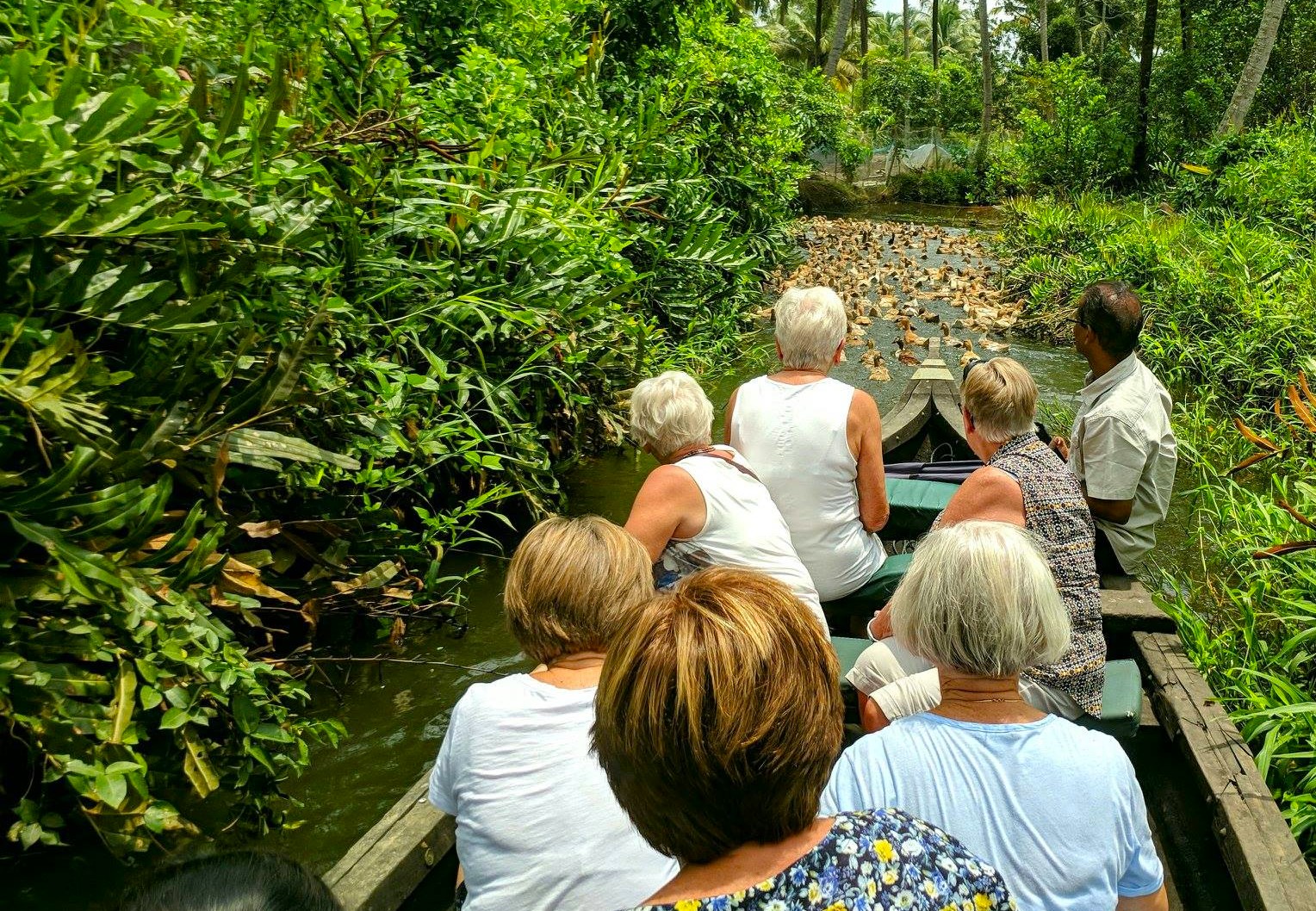 tourists explore scenic backwaters aboard Kettuvallam Houseboats Kerala – near Kochi, South India, immersing in serene wildlife boat tours through lush tropical waterways lined with vibrant greenery creating picturesque experiences. tourists explore scenic backwaters aboard Kettuvallam Houseboats Kerala – near Kochi, South India, immersing in serene wildlife boat tours through lush tropical waterways lined with vibrant greenery creating picturesque experiences.
