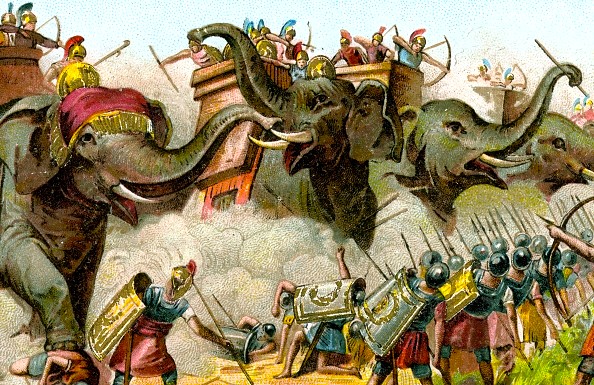 india india