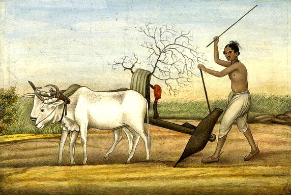 Jainism farming Jainism farming