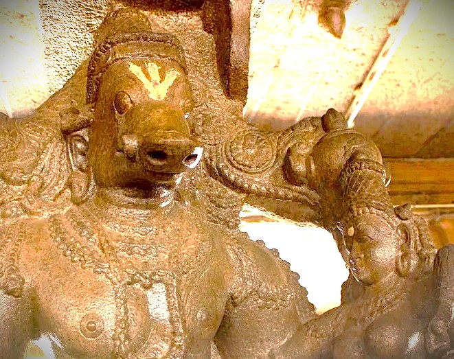 A sacred carving of Vishnu's boar avatar at Koodal Aznagar Temple in Madurai, Tamil Nadu, illustrates the divine relationship with humanity, a cultural highlight for tourists in India exploring near Meenakshi Temple before travelling to Munnar and the Unesco Western Ghats. A sacred carving of Vishnu's boar avatar at Koodal Aznagar Temple in Madurai, Tamil Nadu, illustrates the divine relationship with humanity, a cultural highlight for tourists in India exploring near Meenakshi Temple before travelling to Munnar and the Unesco Western Ghats.