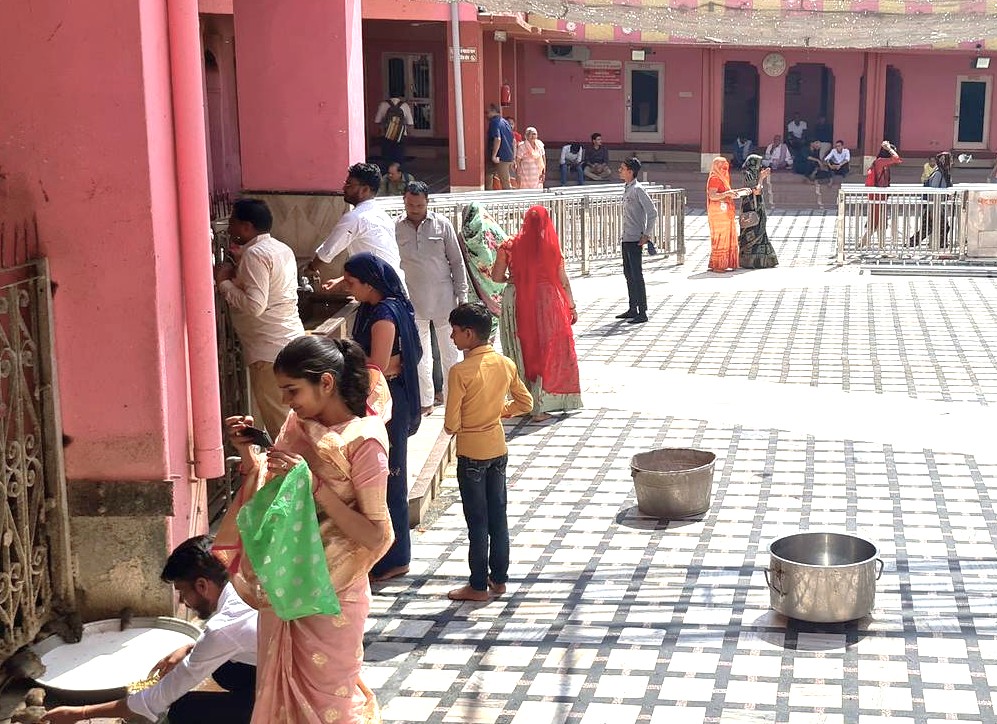 Pilgrims at Karni Mata Rat Temple in the Bikaner Thar Desert, Rajasthan, India gather in a pink courtyard to offer water to sacred rats, showcasing devotional customs and vibrant architecture.