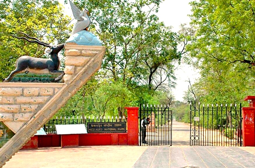 The entrance to Keoladeo National Park, a Unesco site, marks the start of the relationship between visitors and nature, a popular excursion for tourists in India exploring Agra, the Taj Mahal, Agra Fort, and nearby Fatehpur Sikri Fort.