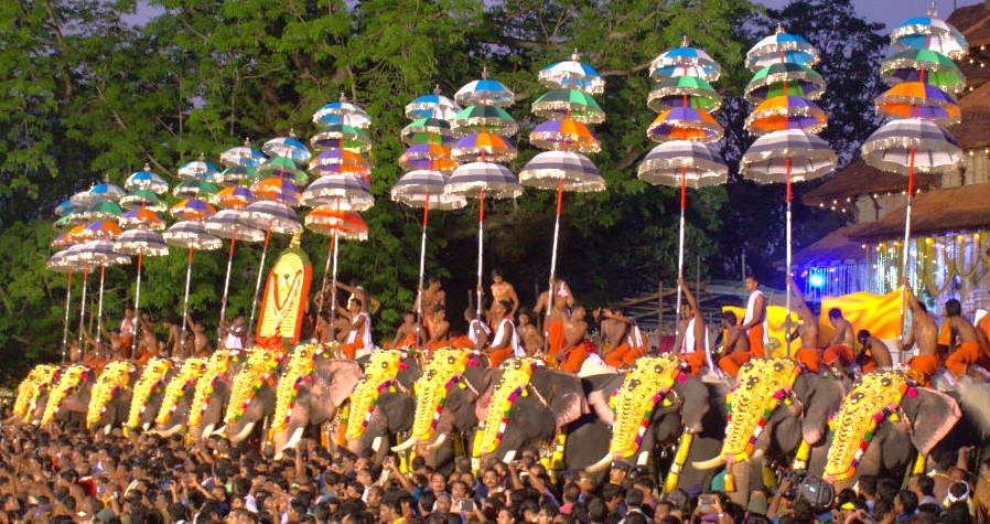 Colorfully adorned elephants parading beneath umbrellas during a vibrant temple festival procession in Kochi, Kerala, showcasing South India’s rich cultural heritage, traditional attire, rhythmic drumming, joyous spectators and tourism experience.