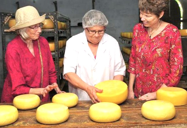 Three women examine golden cheese wheels at Kodaikanal Cheese Cottage in the misty Palani Hills of Kodaikanal, Tamil Nadu, South India, highlighting traditional dairy craftsmanship, community production, and artisanal excellence.