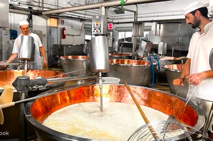 Industrial cheese production vats at Kodaikanal Cheese Cottage in Palani Hills, Kodaikanal, Tamil Nadu, South India demonstrate unique artisan traditions and modern sanitary hygiene practices in a scenic hill environment.