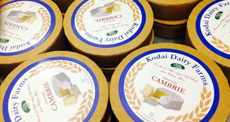 Creamy Cambrie cheese packaged by Kodai Dairy Farms at Kodaikanal Cheese Cottage in the misty Palani Hills of Kodaikanal, Tamil Nadu, South India highlights artisanal dairy excellence and eco-friendly branding.