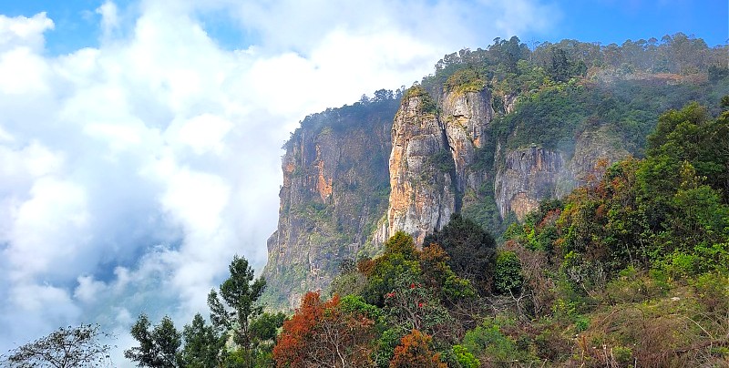 Mist-shrouded cliffs of the Palani Hills near Kodaikanal in Tamil Nadu, South India showcase verdant forests, rocky plateaus and dramatic views, inviting serene, tranquil exploration.