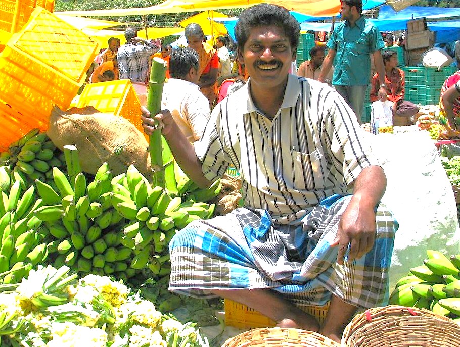 Experienced banana vendor at Kodai Lake Kulam Sunday market in Kodaikanal’s Palani Hills, Tamil Nadu, South India offers fresh tropical bananas amidst local trade.