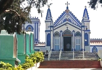 Kodaikanal is home to the majestic Indian bison, or gaur, often spotted in and around forested areas and open grasslands. Early mornings and late evenings are considered the best times to see them, as they venture out to graze in the cooler parts of the day. They are frequently seen along quiet roads leading to Berijam Lake, Mannavanur, and the outskirts of the town. While these animals are generally peaceful, they can become defensive if they feel threatened or cornered. If you suddenly encounter a bison, remain calm and avoid making sudden movements or loud noises. Slowly step back to give the animal space and avoid direct eye contact, as this may be interpreted as a challenge. It’s advisable to keep a safe distance and never attempt to feed or approach them. Respect their space, and you’ll have a safe and memorable experience.