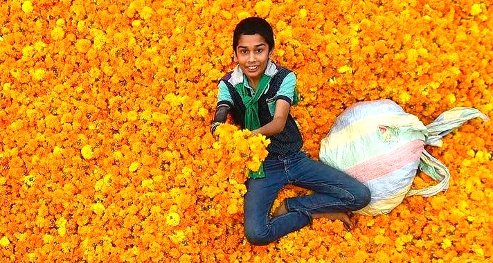 A boy at a flower market in Bangalore, Karnataka, India, near Tipu Sultan Palace ('Tiger of Mysore'), a key stop for tourists visiting Mysore and the Mysore Palace.