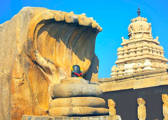 The protective relationship between the Naga and Lord Shiva is seen in this giant monolithic sculpture in Lepakshi, Andhra Pradesh, India, a stunning carving located near the temple's famous hanging pillar.